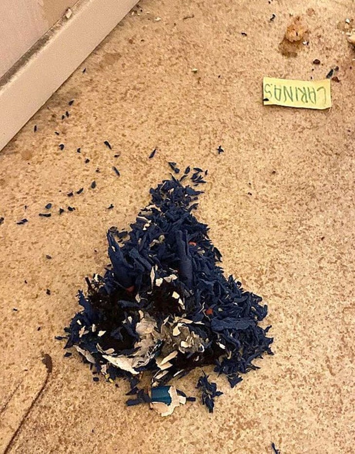 Råttboet som hittade i Tommy Steens lägenhet innan han gick bort den 2 januari. Foto: Privat