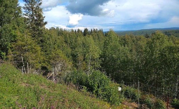 Vill bryta järn i Tuna Hästberg - Stor oro hos Äventyrsgruvan Vill bryta järn i Tuna Hästberg - Stor oro hos Äventyrsgruvan