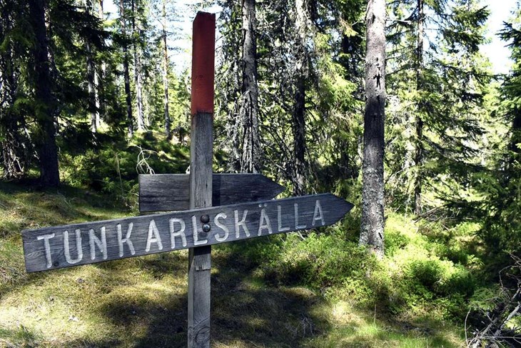 På vägen upp till Lindbodarna finns det en källa att hämta vatten ur. Foto: Pär Sönnert