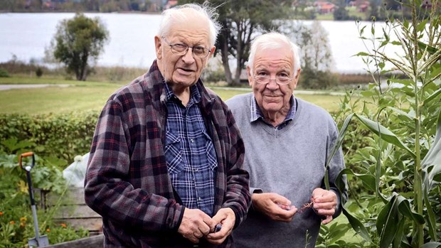 De lär dig mer om växter som blommar i juli