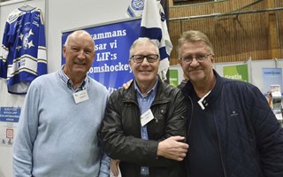 ”Kanske ska kalla in det gamla gardet?”