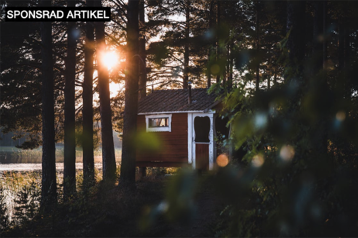 Vilken kommun i Dalarnas län betalar mest skatt?