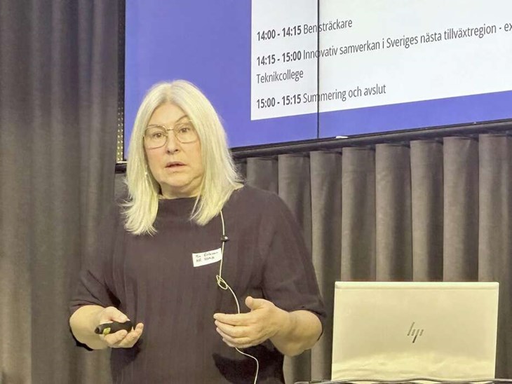 Mia Eriksson, som representerar SSAB och är ordförande i länets Industrikompetensråd, är glad att det nu börjar hända konkreta saker i arbetet med att rekryterare medarbetare till Dalarnas industriföretag. Foto: Anders Hansson