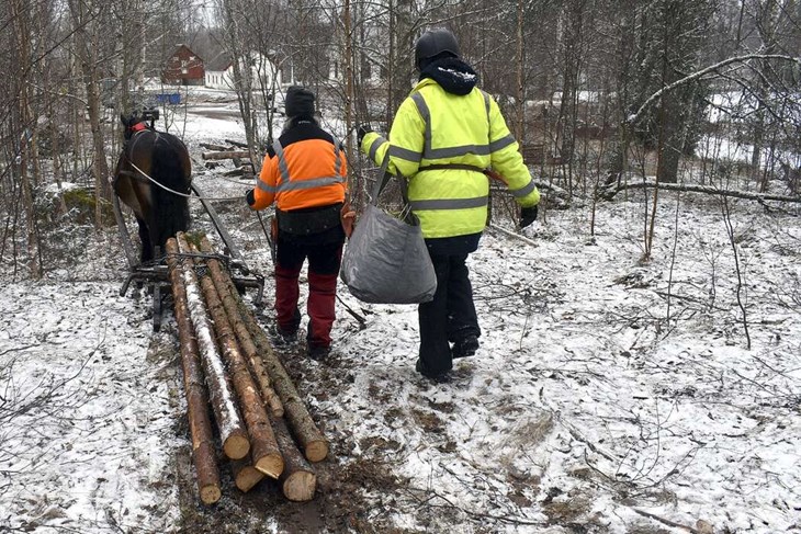 Liiv, Lena Casselbrant och Mikaela Eriksson på väg ner till parkeringen med ett lass stockar. Foto: Pär Sönnert