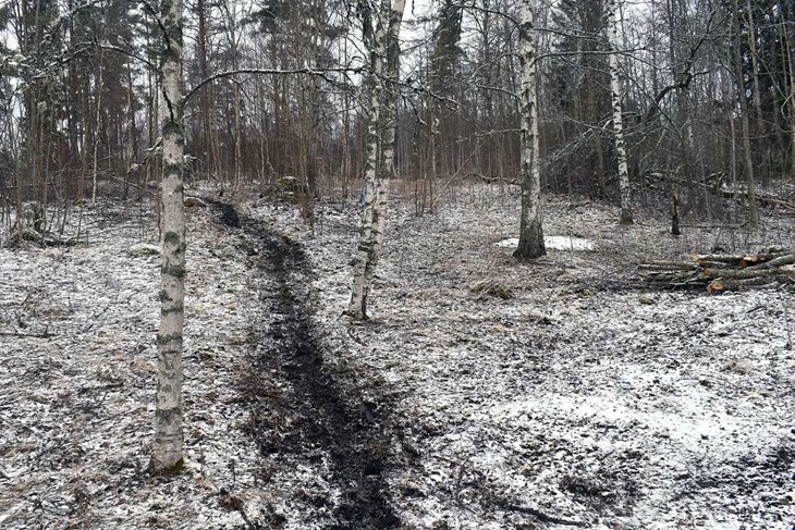 Stigen ringlar sig från parkeringen och upp mot gläntan där hästarna jobbade vid Lokalt i:s besök på platsen. Foto: Pär Sönnert