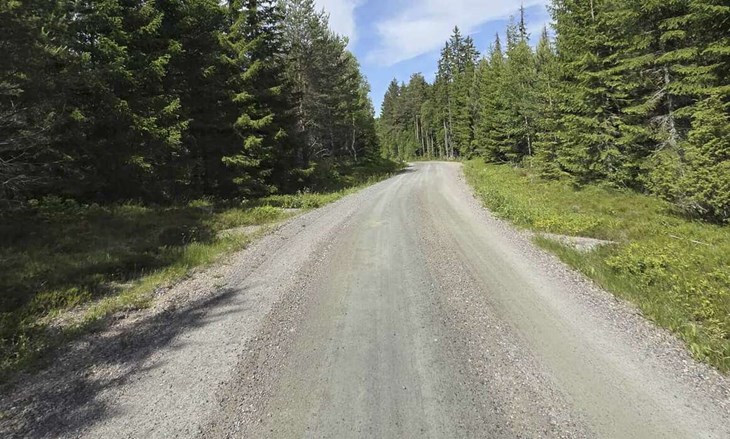 En bild från en av sträckorna i Rally Bergslagen som genomförs lördagen den 6 september. Foto: Privat