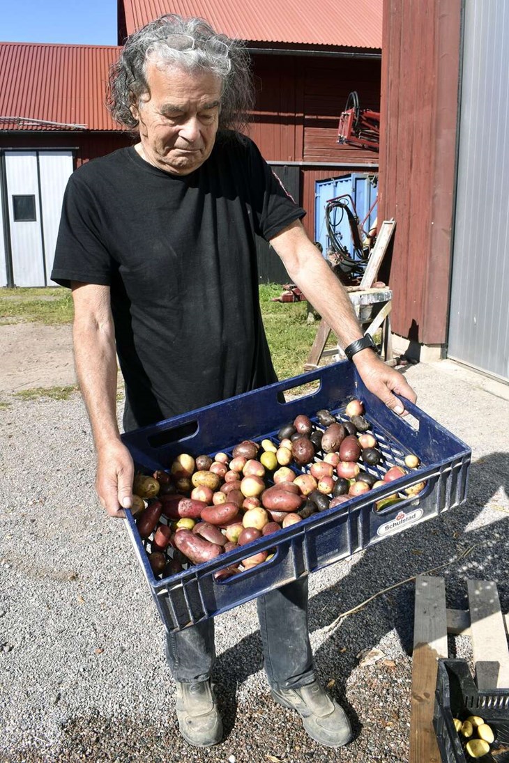Karl H Kruse har vittjat sina "färgburkar" för att se vilka färger och nyanser årets potatisskörd bjuder på. Foto: Pär Sönnert