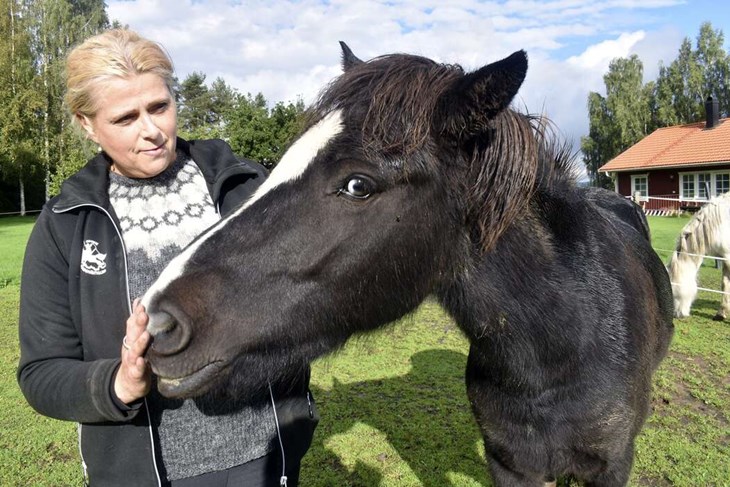Ulrika Rydberg Andrén är kassör i Odinns Islandshästklubb. Hon är bosatt i Rommeholen, i närheten av Romme Travbana, där klubben anordnar en familjedag den 21 september. Detta med anledning av att Svenska Islandshästförbundet fyller 50 år i år. Här ses Ul