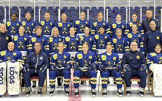Dalarnas tjejer tog silver i Tv-pucken