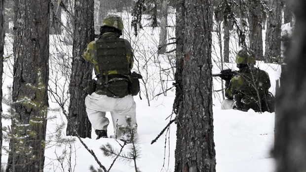 Krutfabrik kan hamna i Borlänge