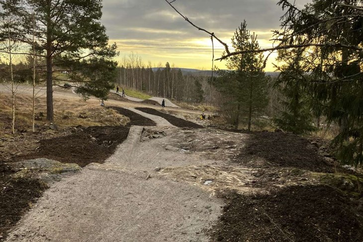 Banan byggs av Trailbyggarna, som håller till i Säter, samt av ideella krafter från Borlänge CK. Foto: Borlänge CK