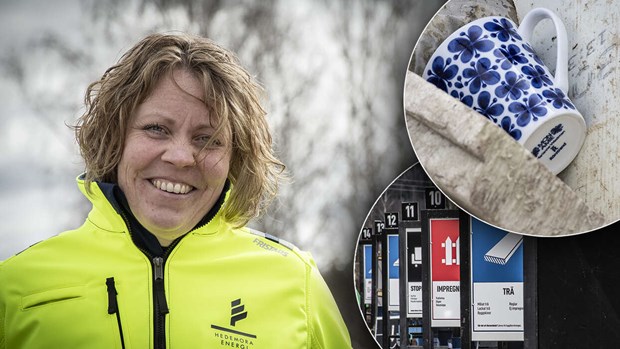 Sorteringens ädla konst: Sorteringens ädla konst: