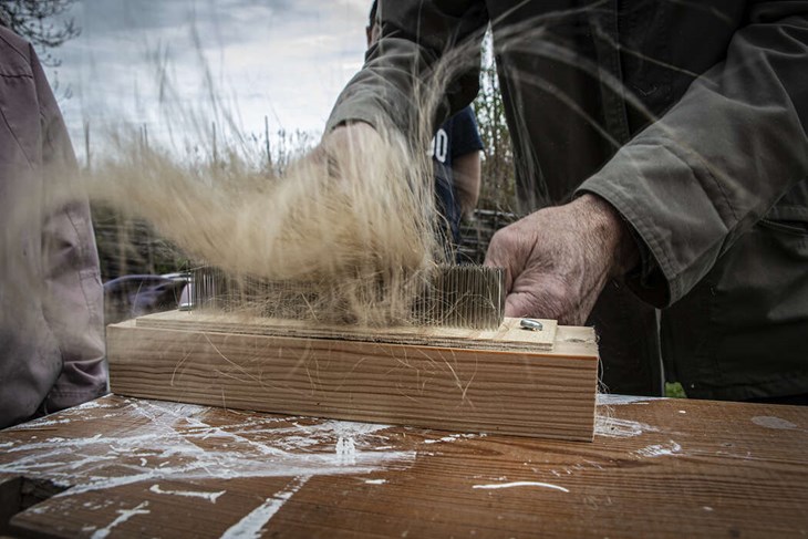 Linet häcklas där piggar av metall i varierande storlekar kammade linet i olika grovlekar. Foto: Christian Larsen