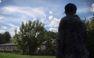 Barn stör fåglar på Ludvika Gård