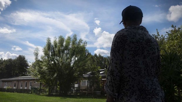 Barn stör fåglar på Ludvika Gård Barn stör fåglar på Ludvika Gård