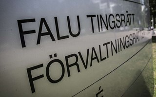 Fängelsedomar för stöldliga