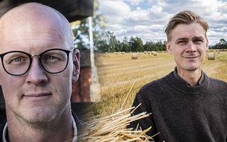 Näst sist i näringslivsrankingen: 