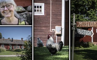 Norns Bruk – Kristallen i skogen