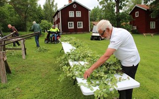 Barnens blomster prydde midsommarstången