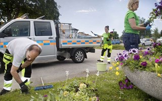Sommarblommor har förstörts