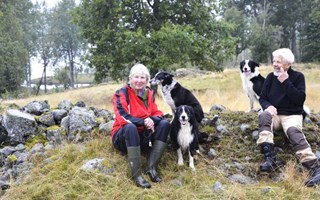 Äventyr bland djur i finnmarken