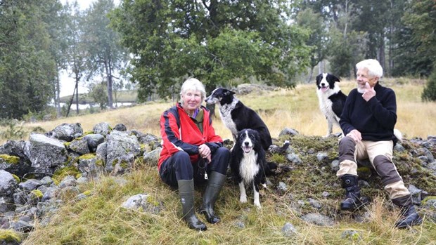 Äventyr bland djur i finnmarken Äventyr bland djur i finnmarken