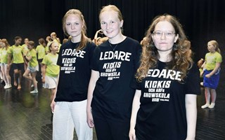 Färre unga i Borlänge jobbar på sommarlovet
