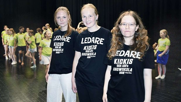 Färre unga i Borlänge jobbar på sommarlovet