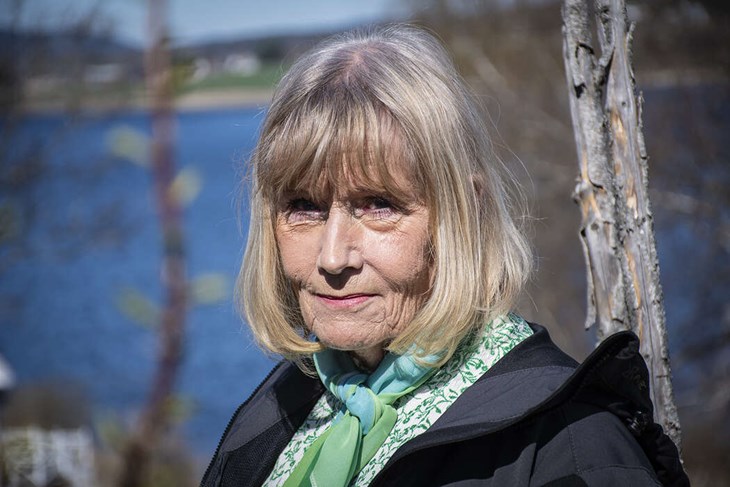 Lillemor Gunnarsson (C), Hedemora.