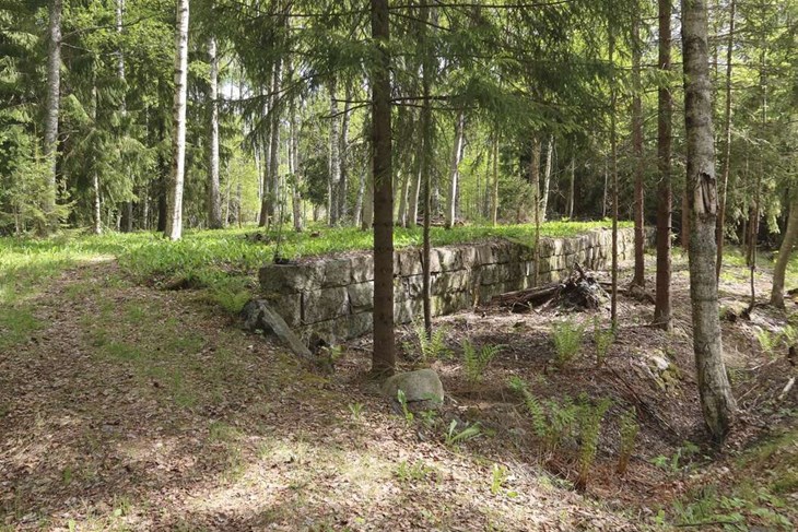 Den så kallade Brännvinsmuren utanför Garpenberg är ett av de 100 besöksmålen i boken. Foto: Anja Hedqvist