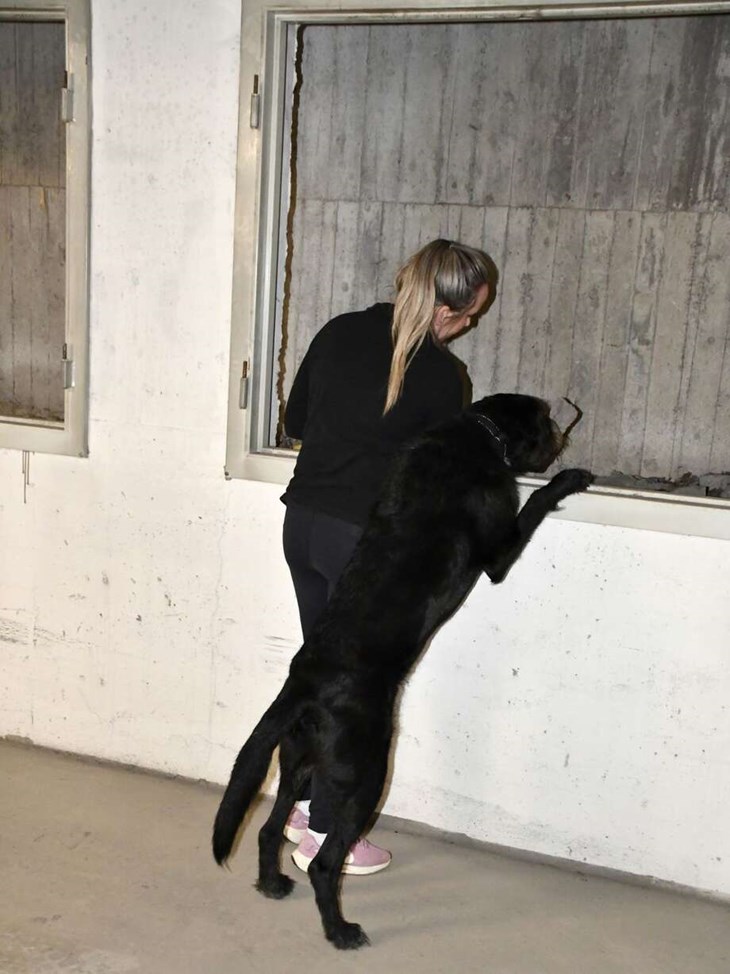 Foto: Katharina Berglund