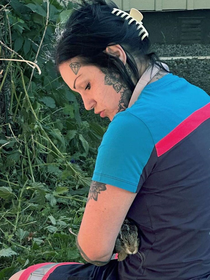 ... men ett räddningsarbete påbörjades och med hjälp av Angelica Vallin och en butiksinnehavare i huset intill kom haren loss. Här försöker Angelica ge den lilla harungen en trygg stund. Foto: Katharina Berglund