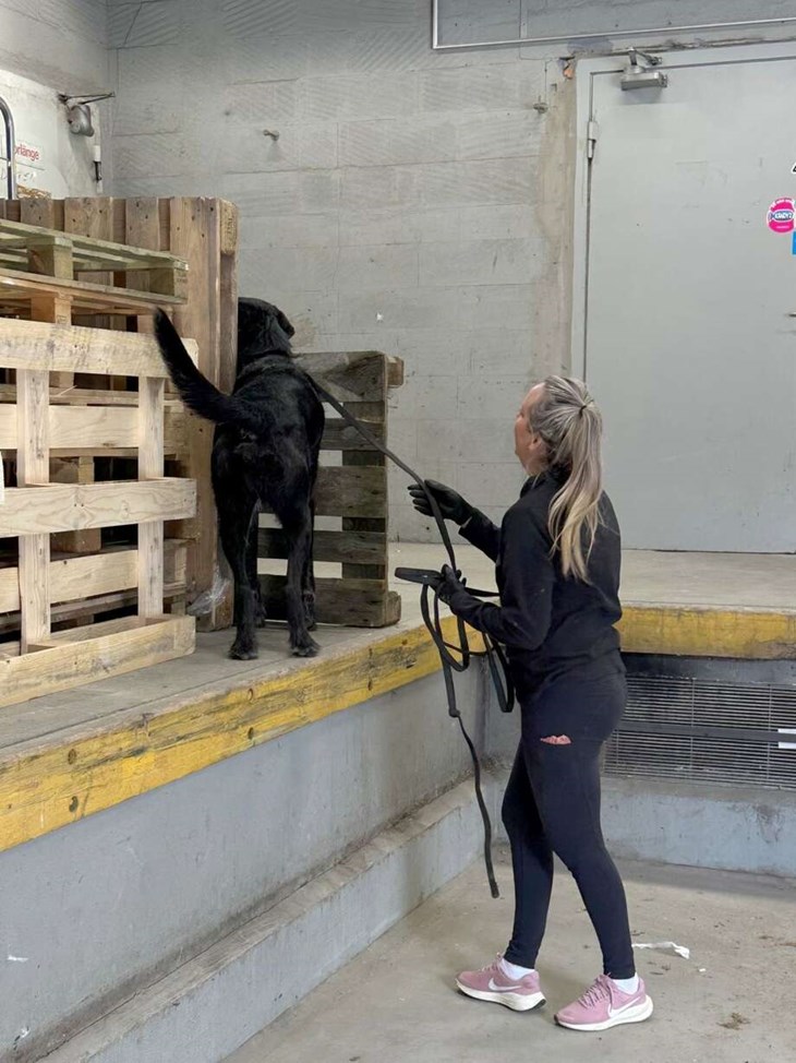 Foto: Katharina Berglund