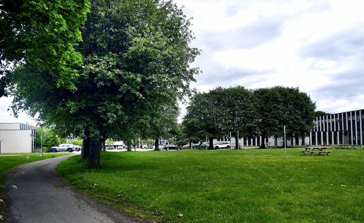 När eleverna lämnar Forssa Klack kan det byggas bostäder, äldreboende eller ny skola på området. Foto: Karin Diffner