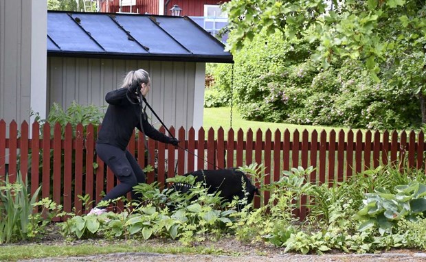 Hund räddade katt och hare