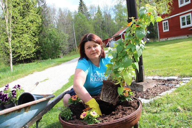 liberalernas hjärta klappar för Norbergs äldre