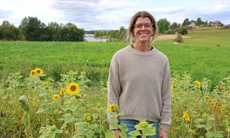 Fortsatt satsning på solrosor mot cancer