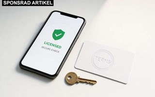 Spellicenser och dina rättigheter som konsument i digitala speltjänster 