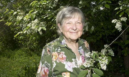 Miljöpartiet vill se fler naturreservat 