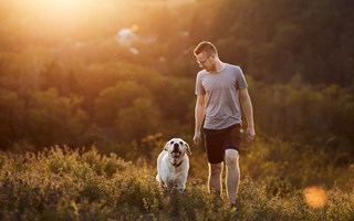 Labradoren i topp på Falubornas lista