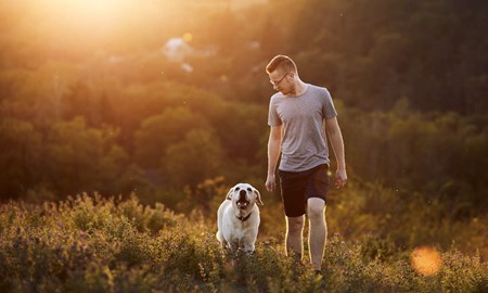 Labradoren i topp på Falubornas lista