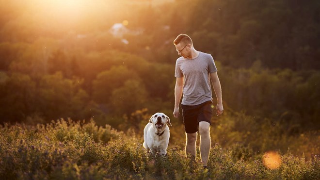 Labradoren i topp på Falubornas lista