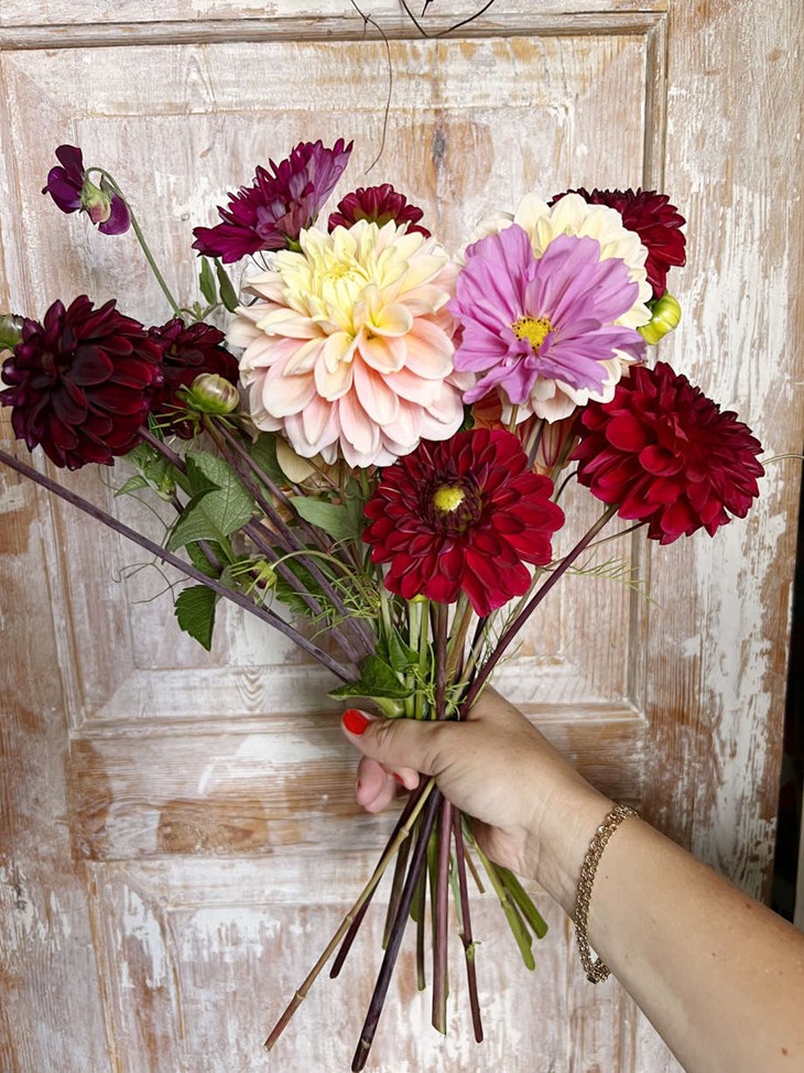 "Jag har alltid tyckt om blommor och trädgård", säger Sophie. Foto: Privat 