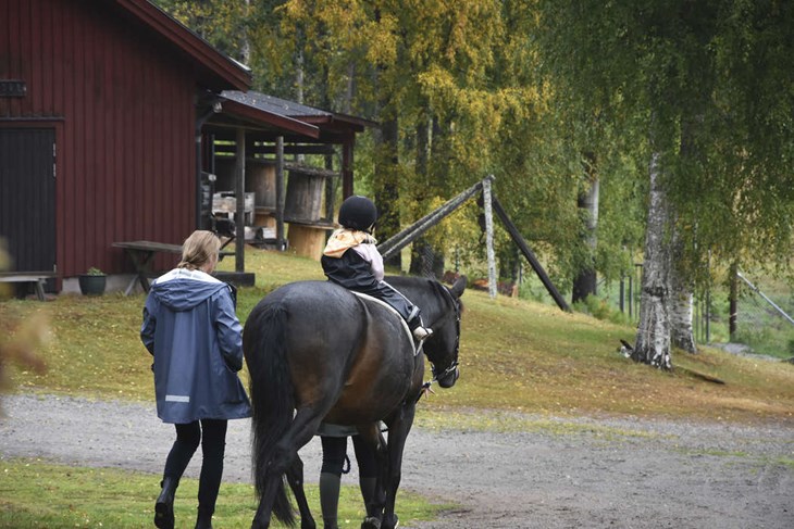 Ponnyridningen i regi av Bjursås Ridklubb var ett populärt inslag hos många av barnen på plats. Foto: Sonny Jonasson