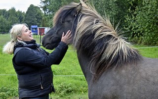 Islandshästklubbens familjedag ska upprepas