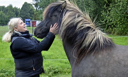 Islandshästklubbens familjedag ska upprepas