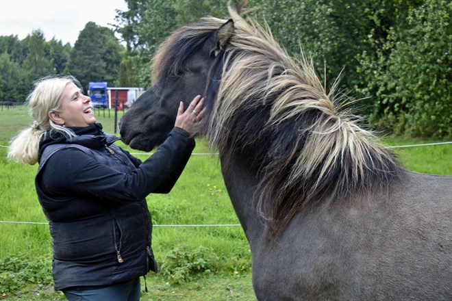 Islandshästklubbens familjedag ska upprepas
