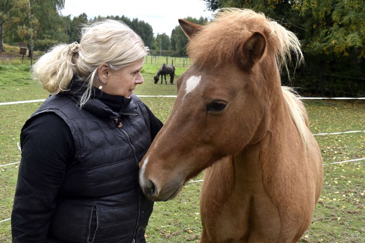 Ulrika Rydberg Andrén tillsammans med elvaåriga stoet Gullfrid (som kallas för "Gullan"). I bakgrunden ses valacken Lotus. Foto: Pär Sönnert 
