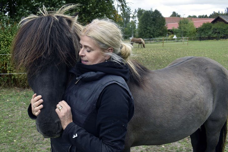 Ulrika Rydberg Andrén är kassör i Odinns Islandshästklubb, som den 20 september håller en familjedag på Romme Travbana. Här ses Ulrika tillsammans med 20-årige valacken Lotus. I bakgrunden ses elvaåriga stoet Gullfrid. Foto: Pär Sönnert