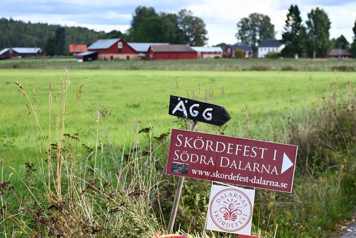 Det blir inte mycket lantligare än så här.